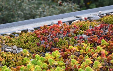 the cost of Exwick green roof installation
