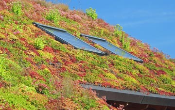 Exwick living roof systems